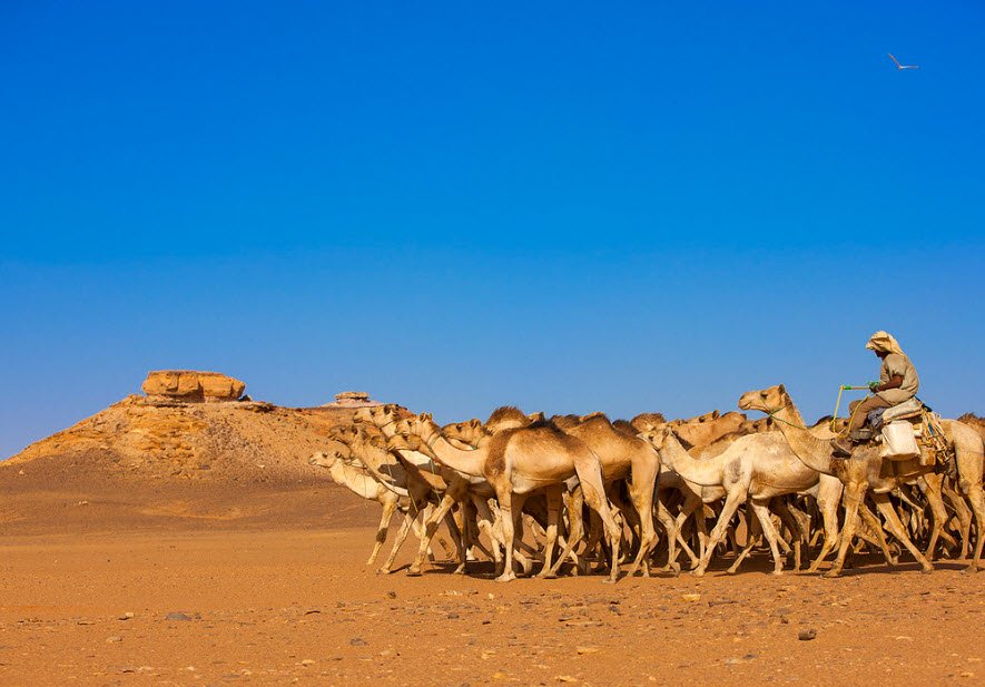 Bayuda Desert, Central Sudan, Sudan